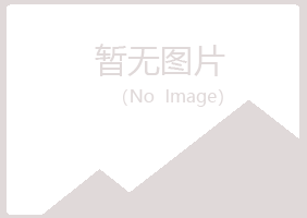 河池夏日计算机有限公司